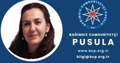 sevginaz_hamevioğlu