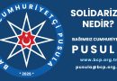 Solidarizm
