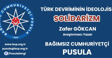 Solidarizm