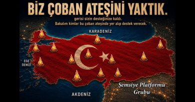 semsiye_platformu