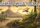 İKLİM VE YAŞAMIN KÖKENİ