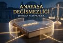 ANAYASAL SÜREKLİLİK İLKESİ VE KURUCU İKTİDAR SINIRLARI