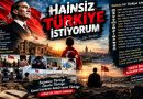 HAİNSİZ TÜRKİYE İSTİYORUM